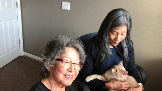 We're Todays Creator On the Rise!